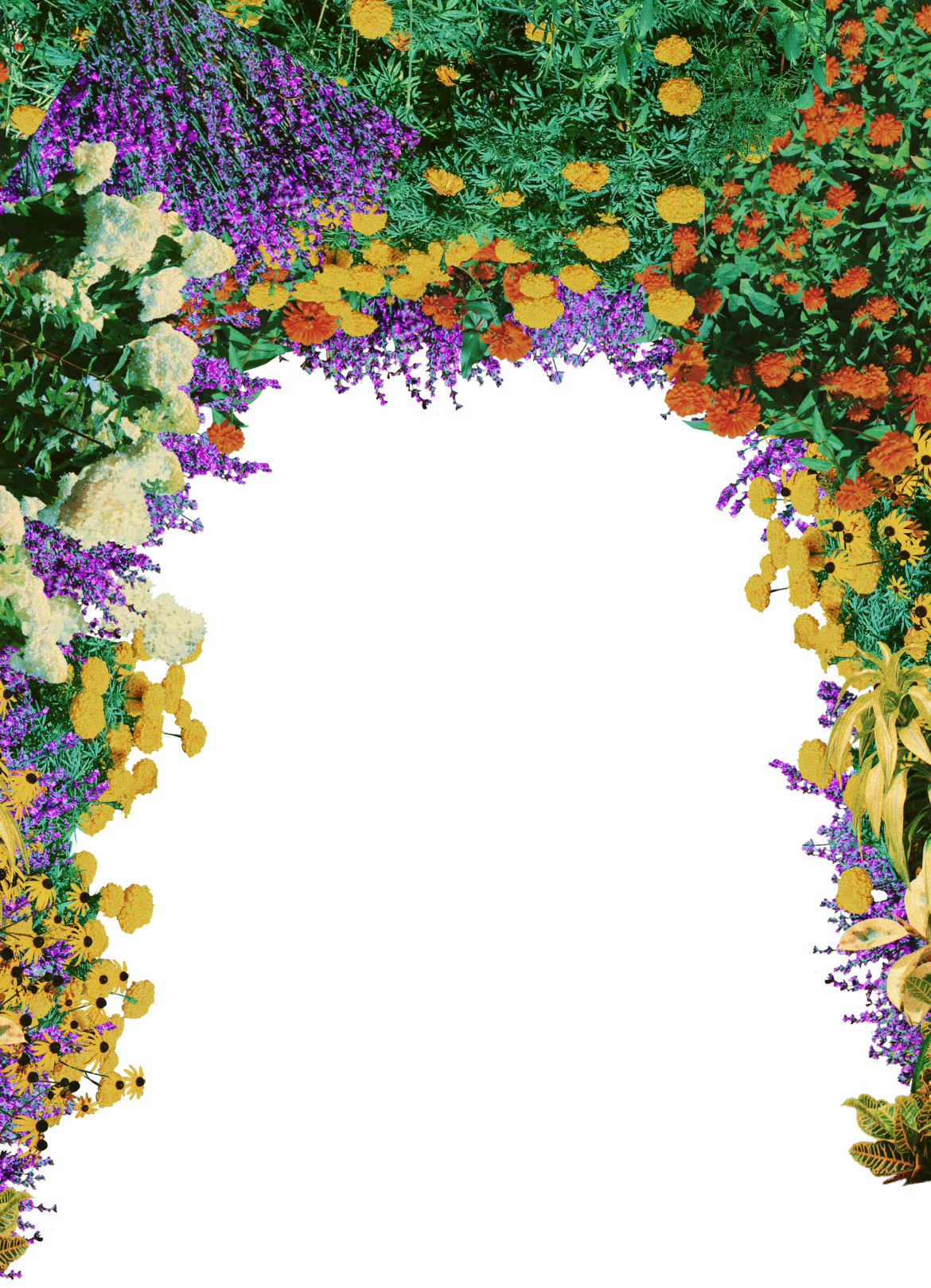 floral frame